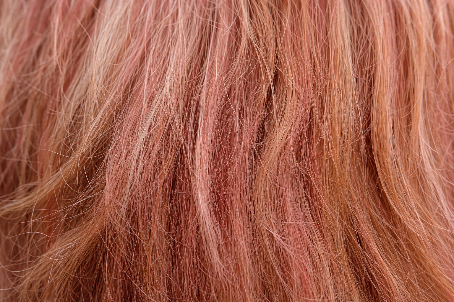 Macro close-up of faded pink and copper colour-treated hair