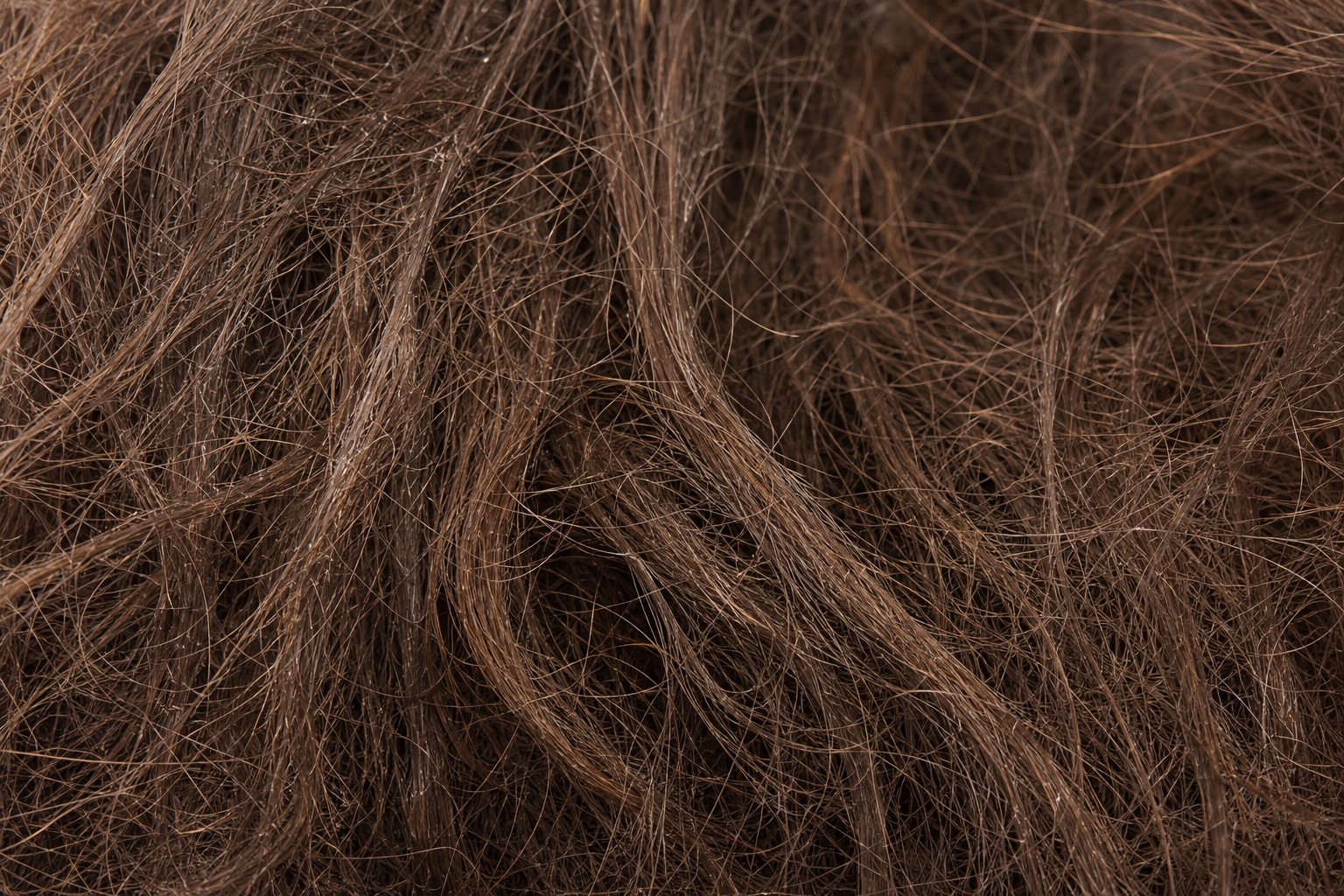 Macro close-up of dry, frizzy brown hair texture
